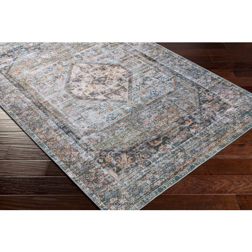 Surya Regen RGE-2311 Pale Blue Traditional  Rug