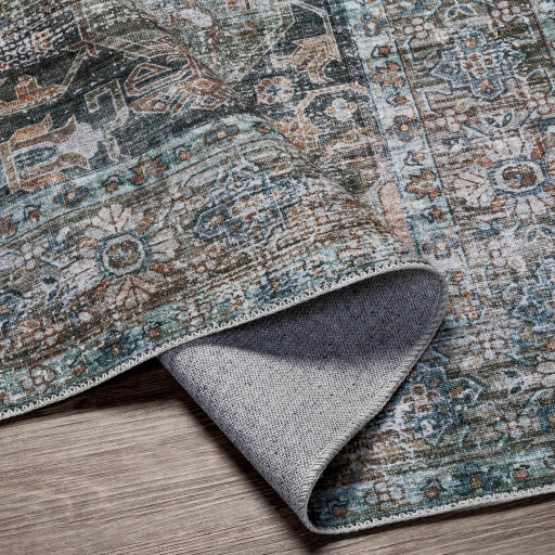 Surya Regen RGE-2311 Pale Blue Traditional  Rug