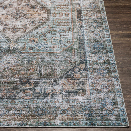 Surya Regen RGE-2311 Pale Blue Traditional  Rug