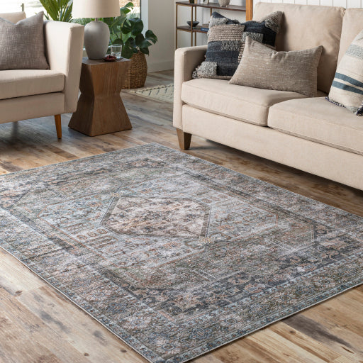 Surya Regen RGE-2311 Pale Blue Traditional  Rug