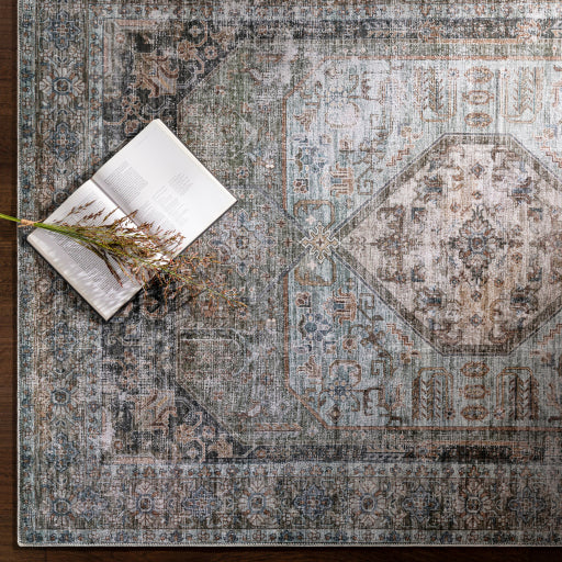 Surya Regen RGE-2311 Pale Blue Traditional  Rug