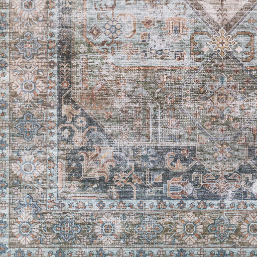 Surya Regen RGE-2311 Pale Blue Traditional  Rug