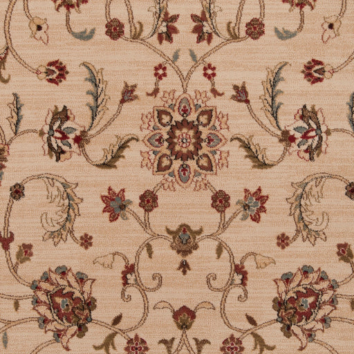 Surya Riley RLY-5026 Beige Traditional  Rug