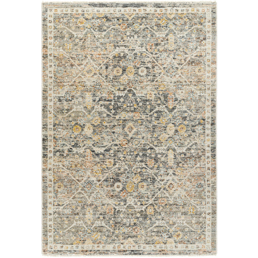 Surya Rojin ROJ-2301 Oatmeal Traditional  Rug