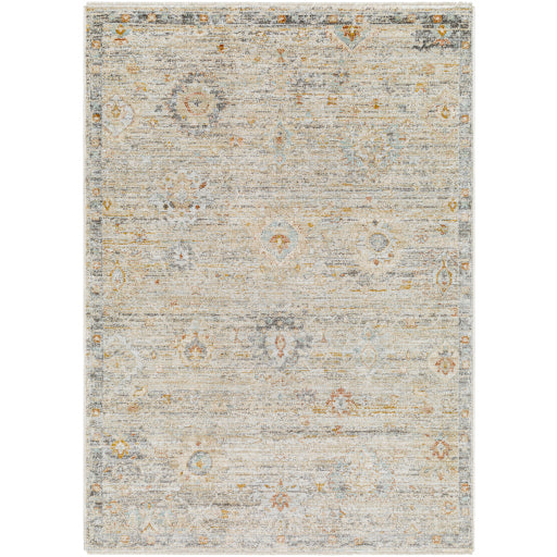 Surya Rojin ROJ-2303 Oatmeal Traditional  Rug