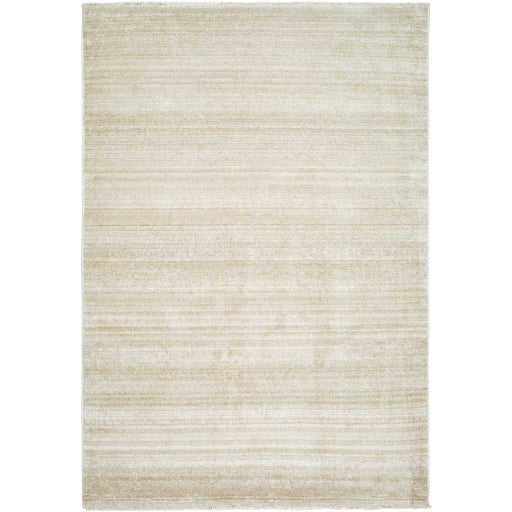 Surya Rojin ROJ-2305 Oatmeal Modern  Rug