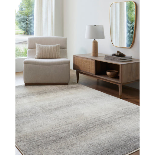 Surya Rojin ROJ-2308 Oatmeal Modern  Rug