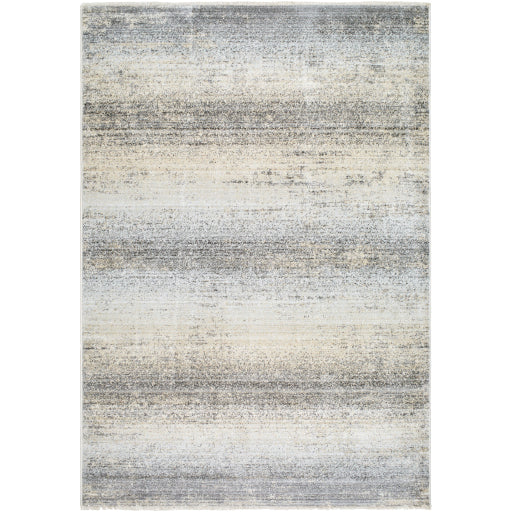 Surya Rojin ROJ-2308 Oatmeal Modern  Rug