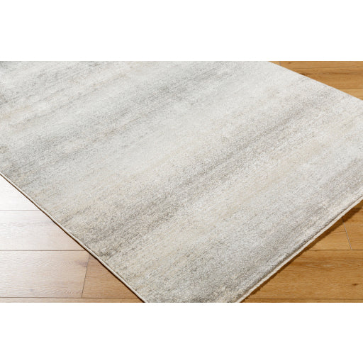 Surya Rojin ROJ-2308 Oatmeal Modern  Rug