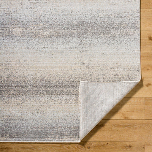 Surya Rojin ROJ-2308 Oatmeal Modern  Rug