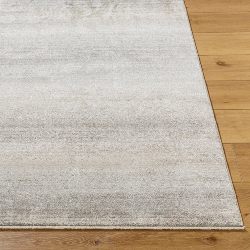 Surya Rojin ROJ-2308 Oatmeal Modern  Rug