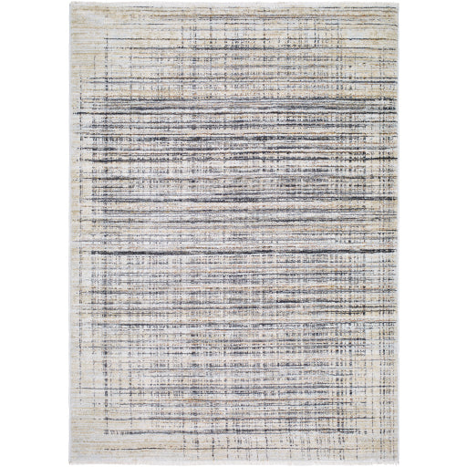 Surya Rojin ROJ-2311 Light Slate Modern  Rug