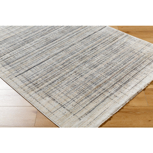 Surya Rojin ROJ-2311 Light Slate Modern  Rug