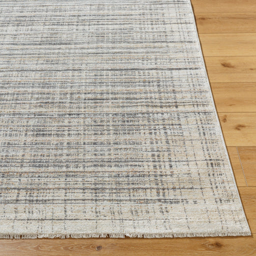 Surya Rojin ROJ-2311 Light Slate Modern  Rug