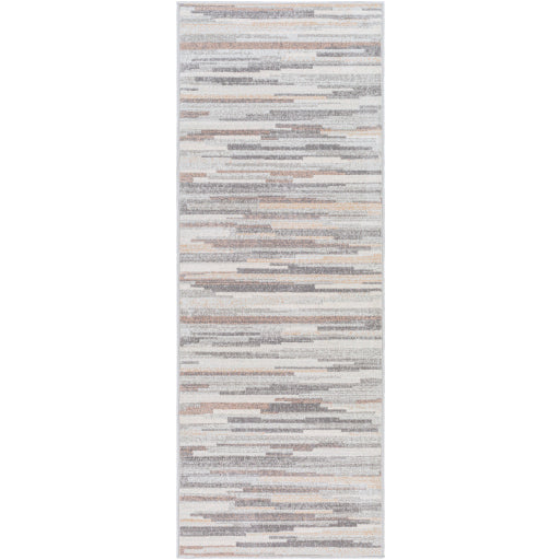 Surya Roma ROM-2302 Gray Modern  Rug