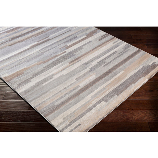 Surya Roma ROM-2302 Gray Modern  Rug