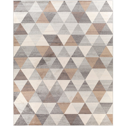 Surya Roma ROM-2303 Gray Modern  Rug