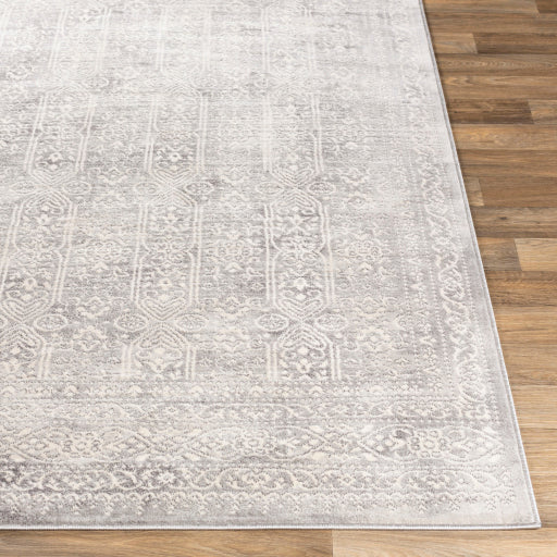 Surya Roma ROM-2307 Off-White Traditional  Rug