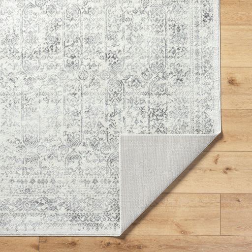 Surya Roma ROM-2308 Light Slate Traditional  Rug