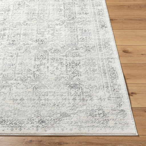 Surya Roma ROM-2308 Light Slate Traditional  Rug