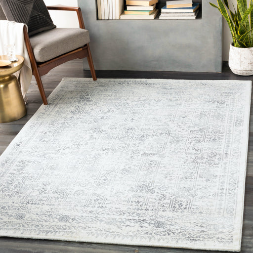 Surya Roma ROM-2308 Light Slate Traditional  Rug