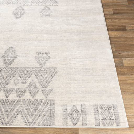 Surya Roma ROM-2325 Off-White Global  Rug