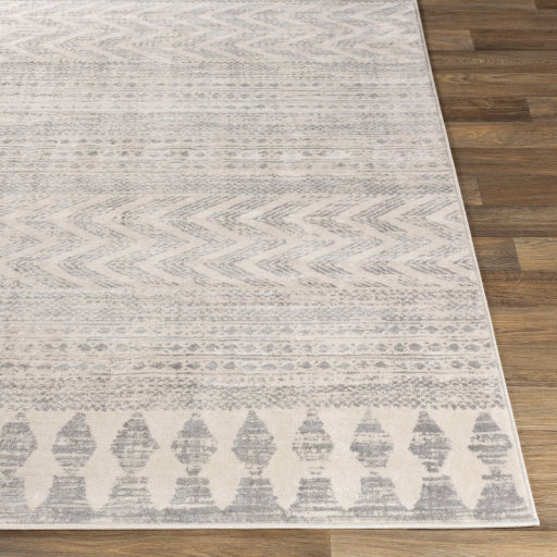 Surya Roma ROM-2329 Off-White Global  Rug