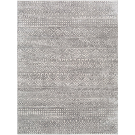 Surya Roma ROM-2340 Gray Global  Rug