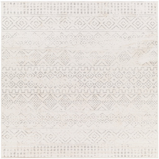 Surya Roma ROM-2341 Gray Global  Rug