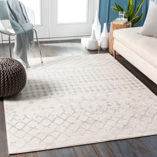 Surya Roma ROM-2343 Off-White Global  Rug