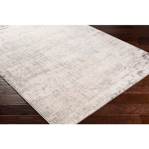 Surya Roma ROM-2393 Charcoal Modern  Rug