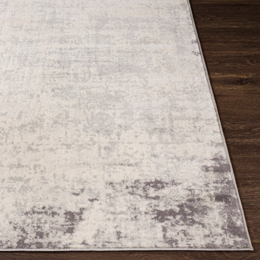 Surya Roma ROM-2393 Charcoal Modern  Rug