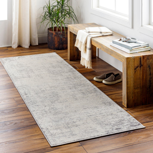 Surya Roma ROM-2393 Charcoal Modern  Rug