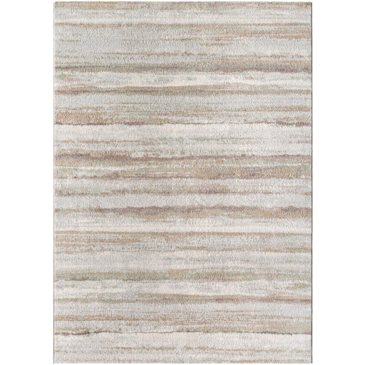 Surya Roma ROM-2402 Light Gray Modern  Rug