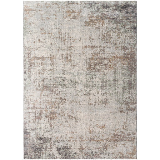 Surya Roma ROM-2404 Light Gray Modern  Rug