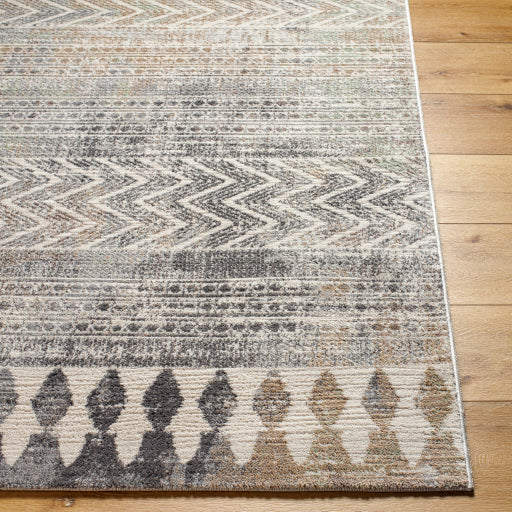 Surya Roma ROM-2406 Cream Global  Rug