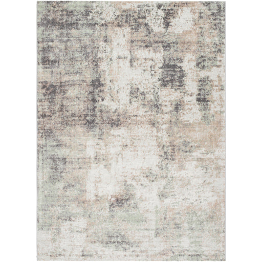 Surya Roma ROM-2408 Light Gray Modern  Rug