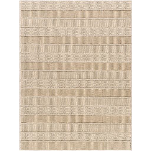 Surya Rockport RPT-2300 Ivory Modern  Rug