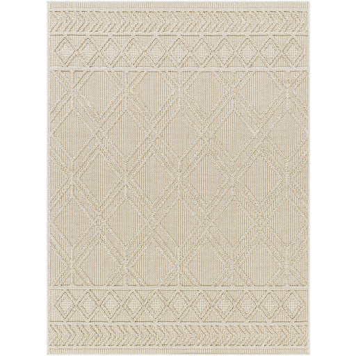 Surya Rockport RPT-2302 Ivory Modern  Rug