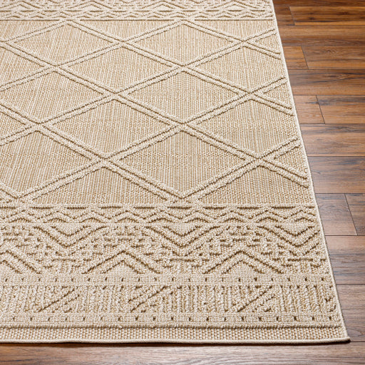 Surya Rockport RPT-2305 Ivory Modern  Rug