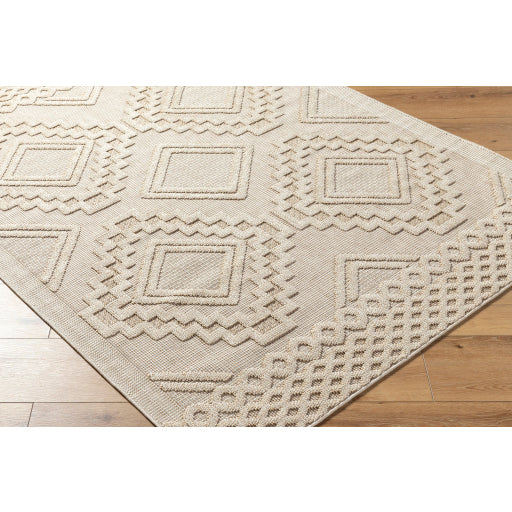 Surya Rockport RPT-2306 Ivory Modern  Rug