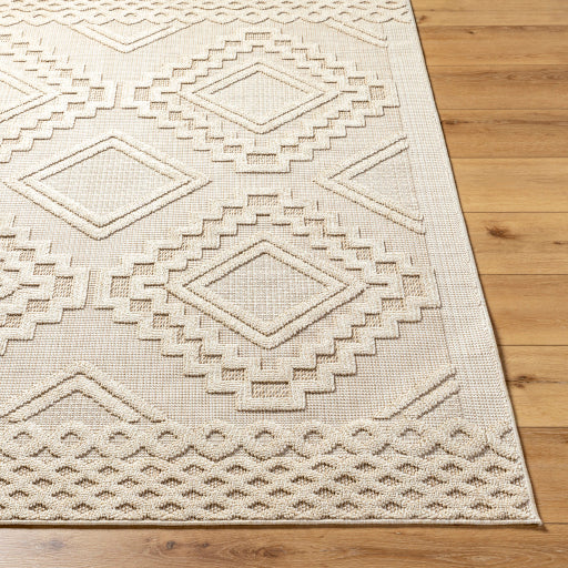 Surya Rockport RPT-2306 Ivory Modern  Rug