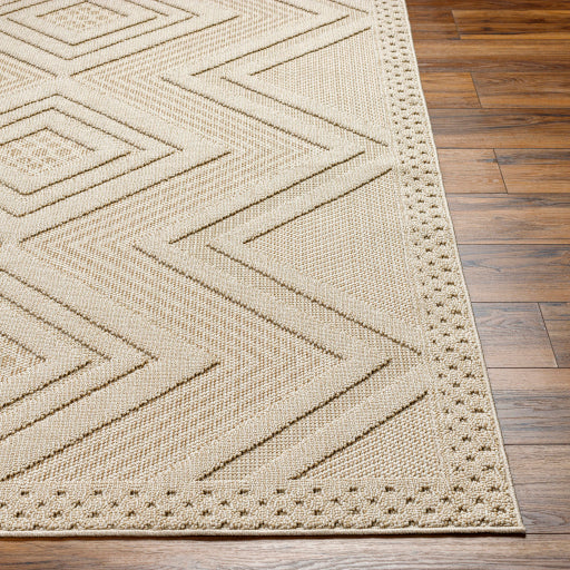 Surya Rockport RPT-2308 Ivory Modern  Rug