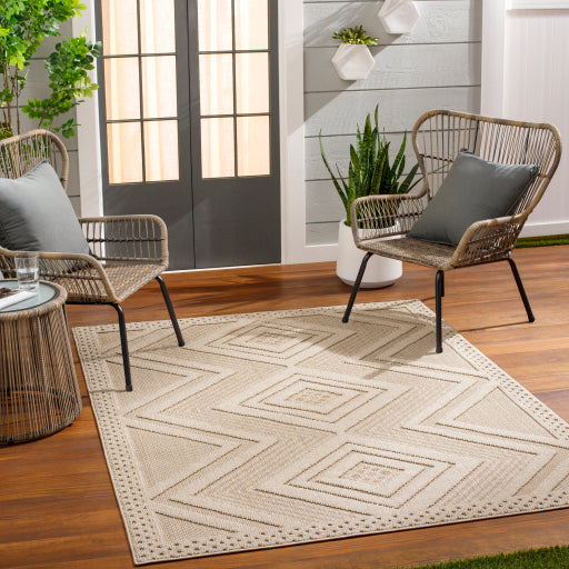 Surya Rockport RPT-2308 Ivory Modern  Rug