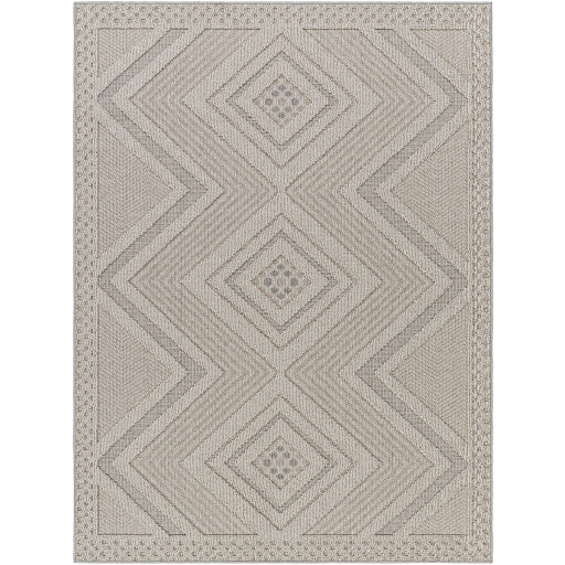 Surya Rockport RPT-2321 Light Gray Modern  Rug