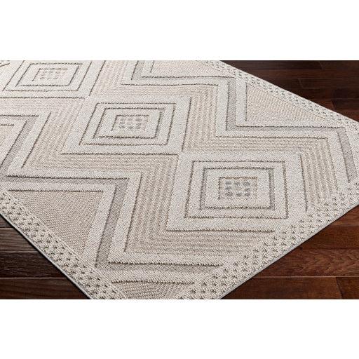 Surya Rockport RPT-2321 Light Gray Modern  Rug