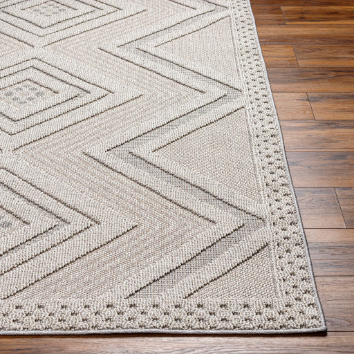 Surya Rockport RPT-2321 Light Gray Modern  Rug