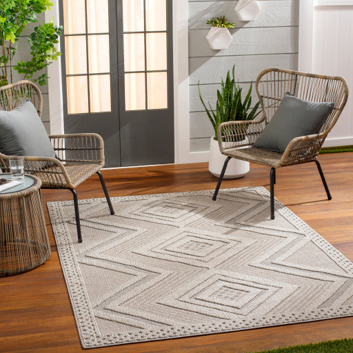 Surya Rockport RPT-2321 Light Gray Modern  Rug