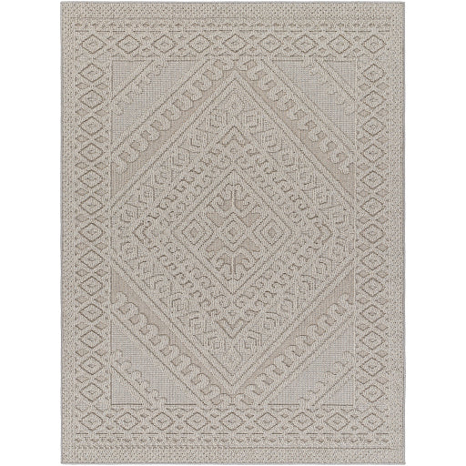 Surya Rockport RPT-2322 Light Gray Modern  Rug