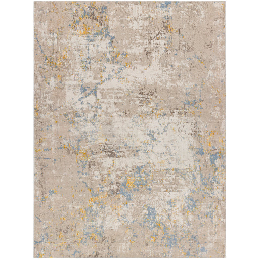 Surya Roswell RSW-2300 Gray Modern  Rug